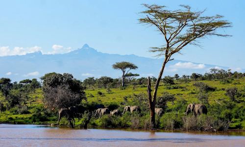 6 Days Amboseli , Aberdares, Lake Nakuru & Masai Mara Safari