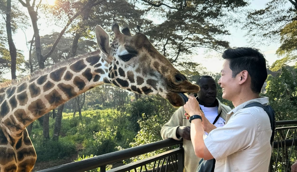 Giraffe Center